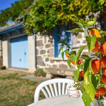 Beautiful Villa In The Parc Des Volcans D Auvergne Vic-sur-Cère Extérieur photo
