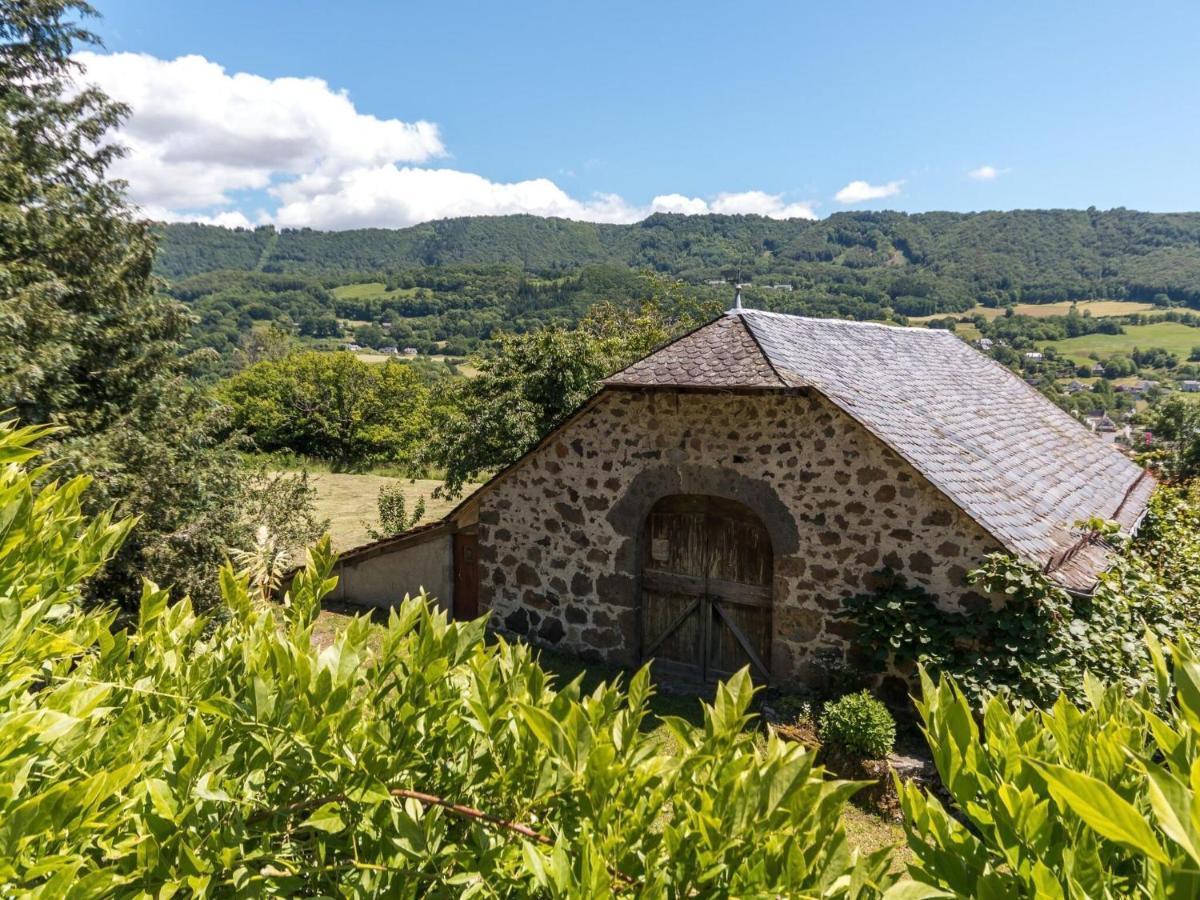 Beautiful Villa In The Parc Des Volcans D Auvergne Vic-sur-Cère Extérieur photo