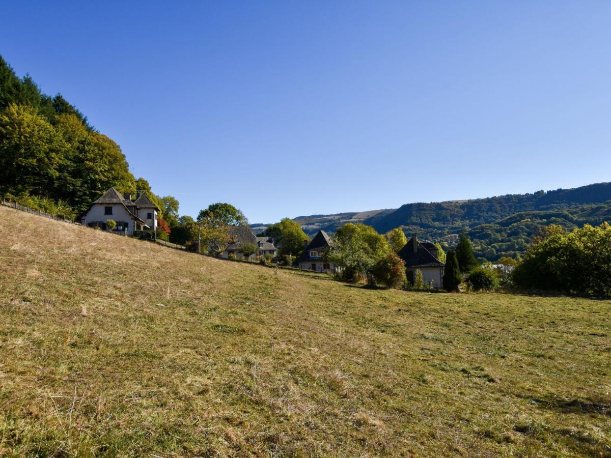 Beautiful Villa In The Parc Des Volcans D Auvergne Vic-sur-Cère Extérieur photo