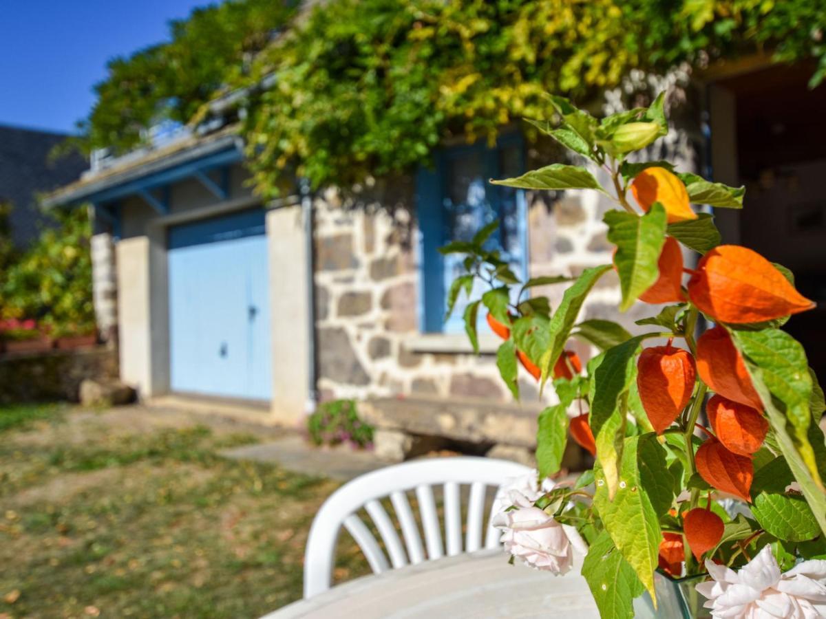 Beautiful Villa In The Parc Des Volcans D Auvergne Vic-sur-Cère Extérieur photo